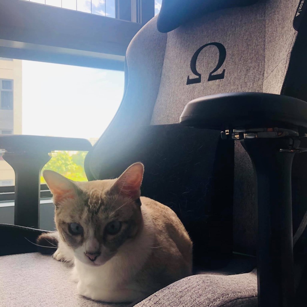 Thinking of a SecretLab Chair too?
